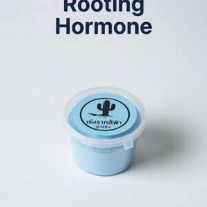 Rooting Hormone (Thailand)
